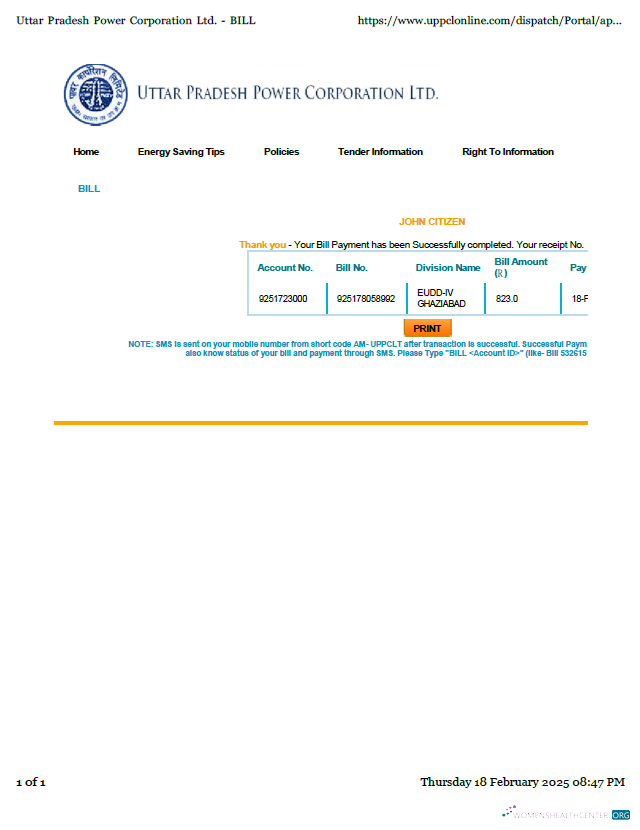 download India Uttar Pradesh Power Corporation Limited utility bill template in Word and PDF formats PDF template